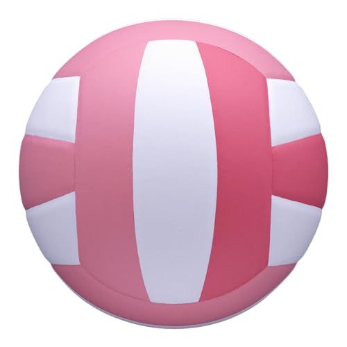 Baden | 10U Light | Official Size, 2 oz Lighter Entry Level Youth Indoor Volleyball | PU Composite, Extra Foam Backing, Reduce Sting - color: Soft Pink/Dark Pink