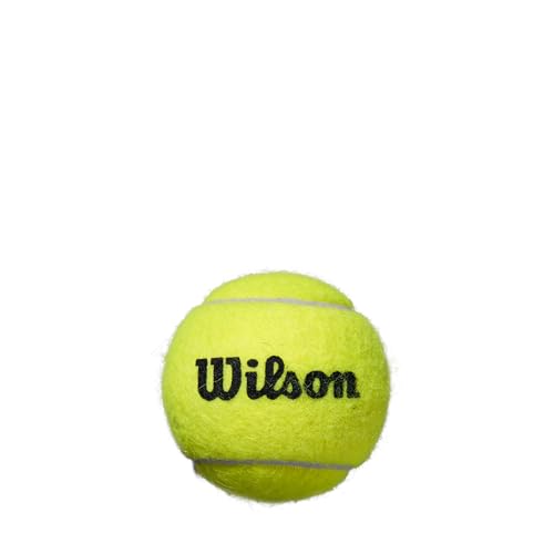 Wilson Roland Garros Clay Tennis Ball - 3 Ball Can - size: 1-Can (Pack of 6)