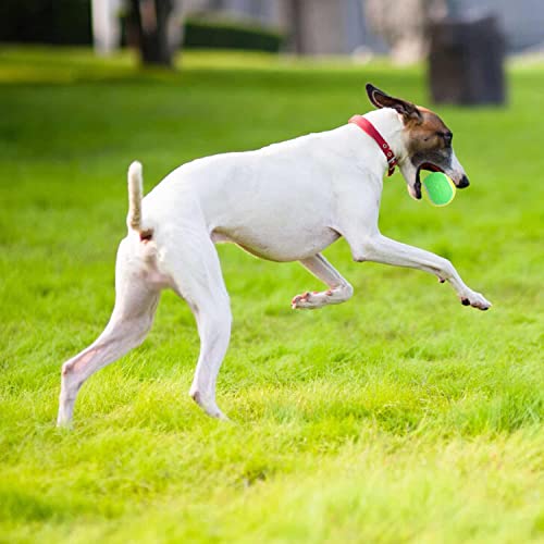 URBEST Tennis Ball 12 Packs Training Tennis Balls Practice Balls for Novice Player, Pet Dog Playing Balls with Mesh Carry Bag - color: Yellow-green