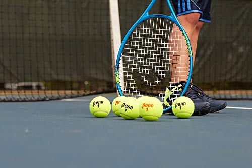 Penn Championship Tennis Balls - Extra Duty Felt Pressurized Tennis Balls - 1 Can, 3 Balls