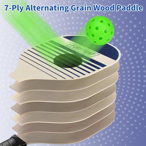 10 FT Mini Portable Pickleball Net Equipment Set - Tennis Net for Driveway Backyard, 2 Pickleball Paddles, 8 Pickleballs and Potable Carry Bag,Pickleball Net for Beginner