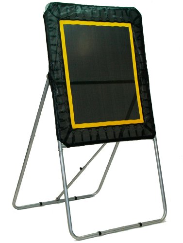 Champion Sports Deluxe Lacrosse Target: Ball Return Bounce Back Net Set for Professional, College and Grade School Training & Drills - style: Deluxe Rebounder (3' x 4')