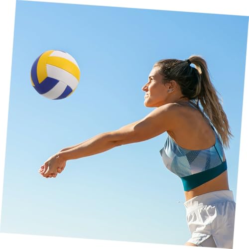 Abaodam 2pcs Soft Indoor Volleyballs Training Balls Comfortable Design 5# Size Standard Pu Material for Entrance Exam Practice and Sports Training