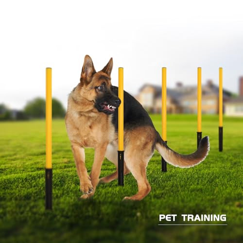 Soccer Agility Training Poles Set: Football Speed Training Equipment with 6Soccer Agility Poles Adjustable Height Hurdles for Basketball Athletes Youth