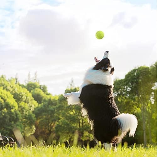 Magicorange Tennis Balls,Advanced Training Tennis Balls Practice Ball, Pet Dog Playing Balls,Good for Beginner Training Ball