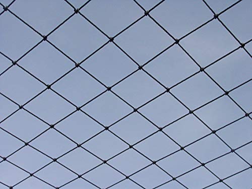 Excursions Aviary Netting 1" Heavy Knotted Poultry Net (25' x 25')