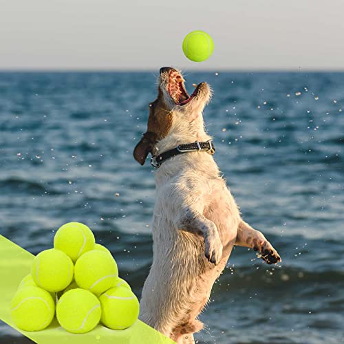 Lenwen 50 Pack Dog Tennis Balls Pet Training Tennis Balls 2.5 Inch Rubber Interactive Dog Pet Practice Playing Toys with Mesh Bag for Beginners Training,Play,Exercise