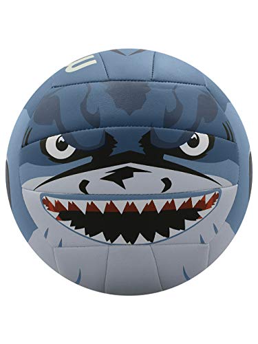 Molten Camp Volleyball (Shark)