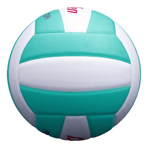 Baden | Precision | Official Size + Weight Entry Level Youth Indoor Volleyball | PU Composite, Extra Foam Backing, Reduce Sting - color: Teal
