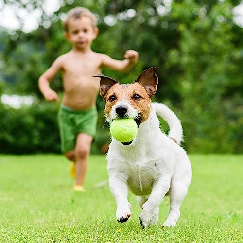 Tennis Training Ball with String,Tennis Trainer Balls Self Practice Trainer Tool, Tennis Ball Training Equipment for Rebound Baseboard Self Tennis Training Tool - color: 6pcs
