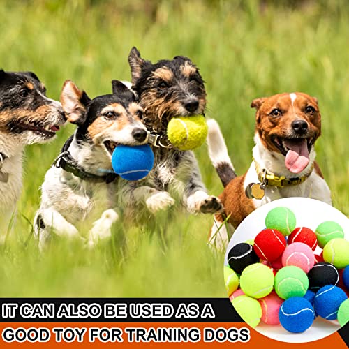 Sumind 60 Pcs Tennis Balls Bulk Standard Tennis Training Ball Tennis Practice Balls PET Dog Playing Balls Tennis Accessories for Beginner Practice Training Sports, 6 Colors