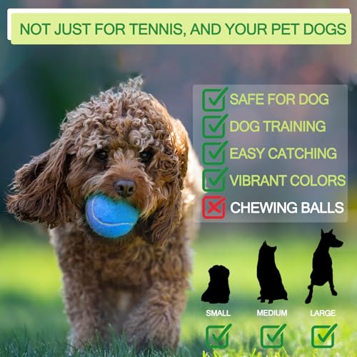 INSUM Bulk Tennis Balls for Beginner – 12 Pack High Elasticity Practice Tennis Balls with Mesh Bag, Suit for Pet Dog Training, Fetching - color: Light Blue