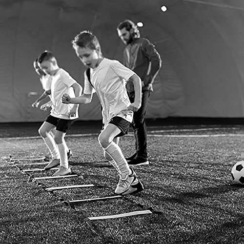 Agility Ladder Fixed Agility Ladder Speed Ladder, Fitness Jumping Ladder Footwork Sport Equipment, for Soccer Training and Rugby Tennis Baseball Drills(Size:3M) - size: 3M