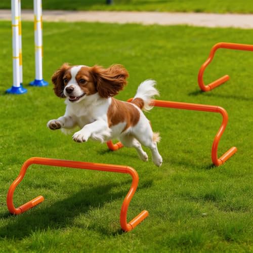 Eorbow 10 Pack 9" Agility Hurdles, Plastic Speed Agility Training Hurdle, Detachable Sturdy Plyometric Hurdles, Training Equipment Set with Carry Bag for Football, Soccer, Basketball, Athletes