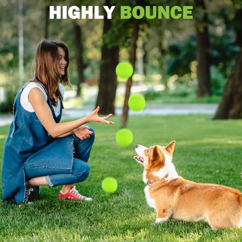 FURWEY Tennis Balls, 12/24/36/80 Pack Bulk Tennis Balls Pressureless Tennis Ball, Come with Mesh Bag for Easy Transport,Pet Dog Playing Balls, Good for Beginner Training Ball - size: 24P