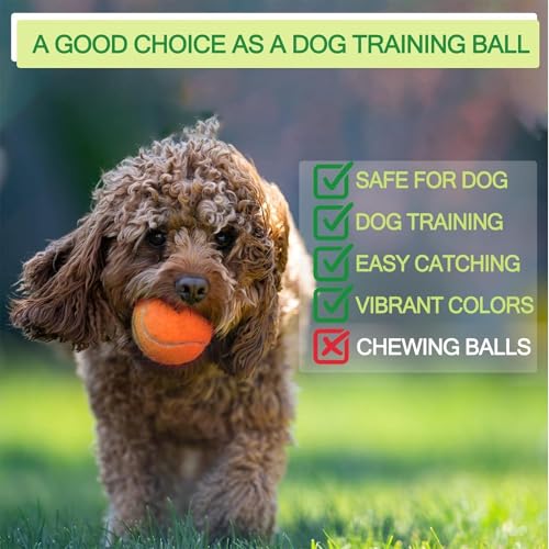 INSUM Bulk Tennis Balls for Beginner – 12 Pack High Elasticity Practice Tennis Balls with Mesh Bag, Suit for Pet Dog Training, Fetching - color: Orange-N