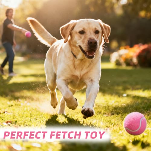 PoyPet 16-Pack Tennis Balls Bulk for Practice,Training and Beginners | Ideal for Dog Fetch,Chew and Play - color: Pink