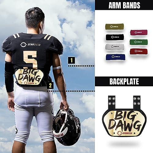 O Shield Golden Cross Chrome Football Back Plate, Lower Back Pads for Football Players, Rear Protector, Cross Series - size: Adult (Weight more than 180 Pounds), style: Big Dawg