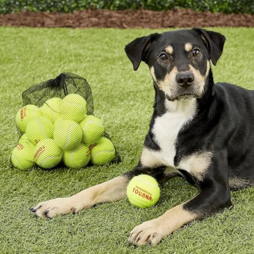 Tourna Tennis Ball Tote (50 Balls) - size: Each