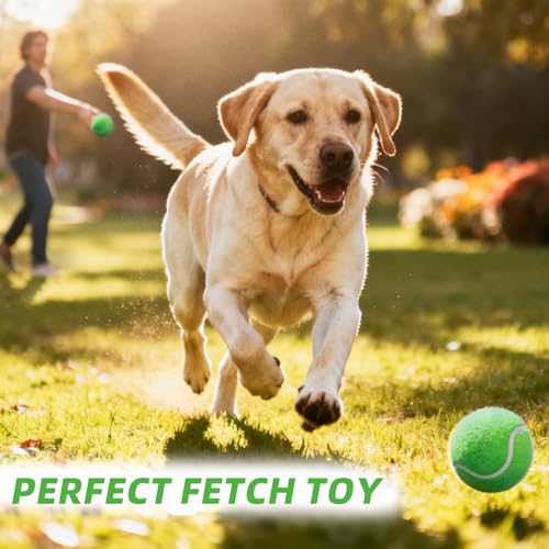 PoyPet 16-Pack Tennis Balls Bulk for Practice,Training and Beginners | Ideal for Dog Fetch,Chew and Play - color: Green