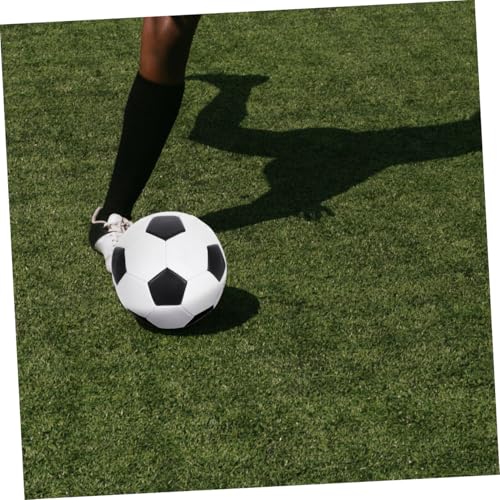 Size 5 Soccer Ball Pu Machine-Stitched Sturdy Training Football and Adults Outdoor Practice and Match Use