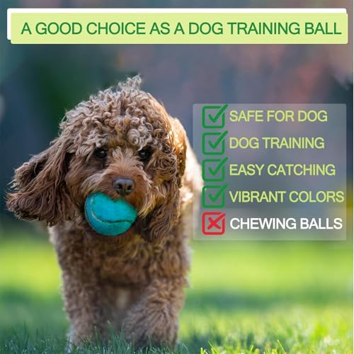 INSUM Bulk Tennis Balls for Beginner – 12 Pack High Elasticity Practice Tennis Balls with Mesh Bag, Suit for Pet Dog Training, Fetching - color: Dark Blue-N