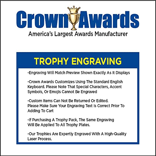 Table Tennis Trophies, 6" Gold Table Tennis Paddles Trophy with Custom Engraving, Great Ping Pong Awards Prime