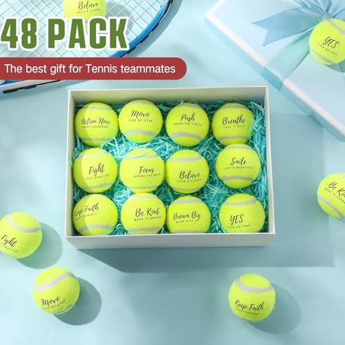 Soulchen 48 Pack Pressureless Tennis Balls Inspirational Training Tennis Balls Bulk Coach Beginner Practice Supplies Pet Dog Toys Indoor Outdoor