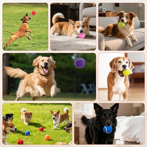 FURWEY Tennis Balls for Dogs 80 Pack,2.5 inches,Durable and Non-Toxic Dog Toys Balls with Mesh Bag,Colorful Fetch Toys Balls for pet Dog (Non Squeaky)
