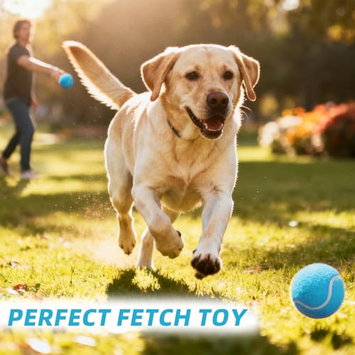 PoyPet 16-Pack Tennis Balls Bulk for Practice,Training and Beginners | Ideal for Dog Fetch,Chew and Play - color: Blue