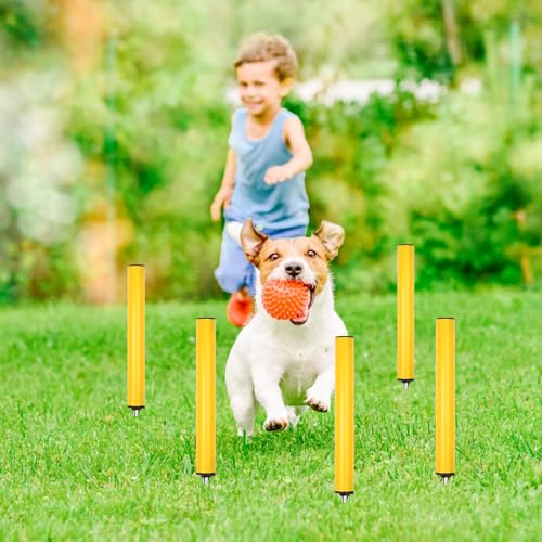 Soccer Agility Poles, Speed Sport Training Equipment for Soccer Basketball Football,Speed Jump Poles Training Equipment for Athletes/Adult