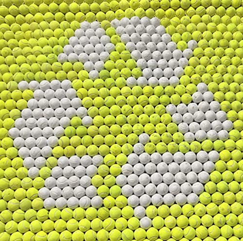 100 Low Cost Tennis Balls for use as Doggie Balls