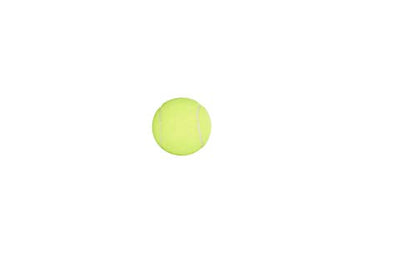 Penn Championship Tennis Balls - Regular Duty