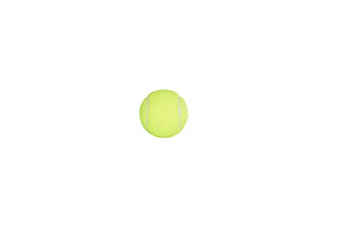 Penn Championship Tennis Balls - Extra Duty - style: 24 Cans, 72 Balls