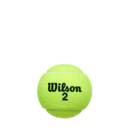 WILSON Championship Tennis Balls