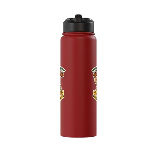 Third-Shot Drop Ironic Pickleball Hobby Player Stainless Steel Insulated Water Bottle - color: Red