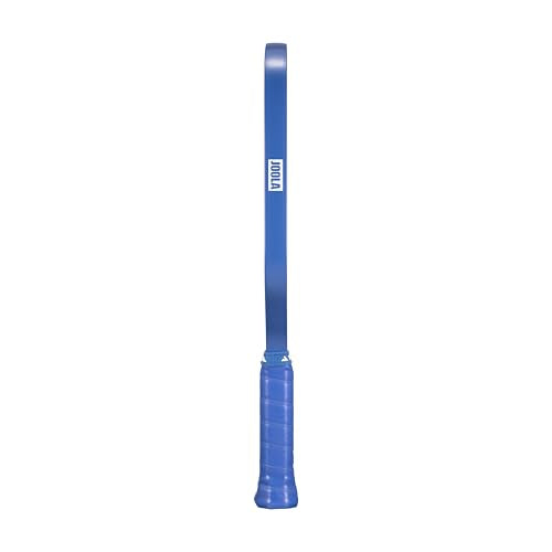 JOOLA Ben Johns CAS 16mm Carbon Fiber Pickleball Paddle - CAS Surface Tech - Control & Power Paddle - USAP Approved - Aero Curve - Feel-Tec Pure Grip - NFC Chip - color: Azure Blue, size: Hyperion