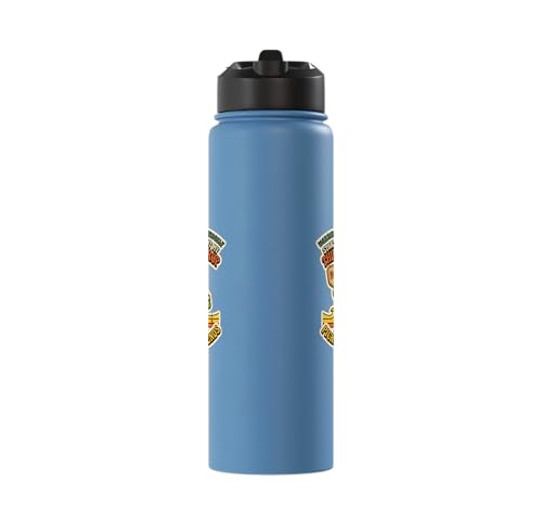 Third-Shot Drop Ironic Pickleball Hobby Player Stainless Steel Insulated Water Bottle - color: Light Blue