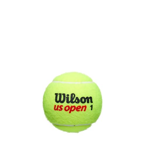 WILSON US Open Tennis Balls - Extra Duty, 24 Can Case (72 Balls)