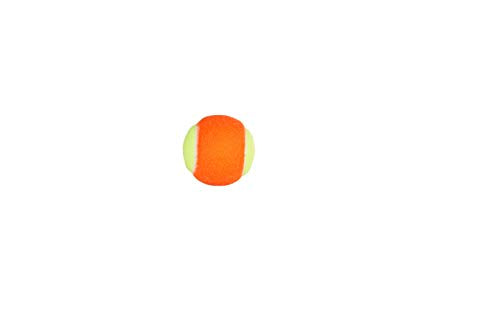 Penn Tennis Balls Penn - color: orange/yellos, size: 60 balls (Pack of 2)