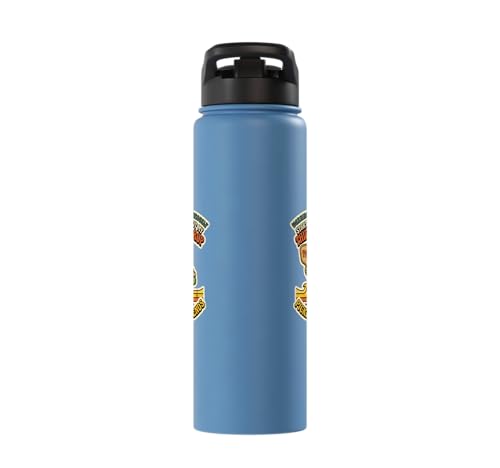 Third-Shot Drop Ironic Pickleball Hobby Player Stainless Steel Insulated Water Bottle - color: Light Blue