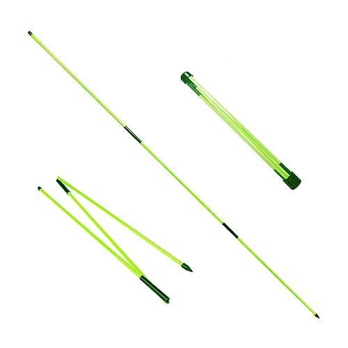 Eshan Golf Alignment Sticks 2 Pack Swing Training Aid Equipment Collapsible Trainer Practice Rods Posture Corrector in Handy Storage Tube Case for Men Women Golfer Swinging - color: Mint Green