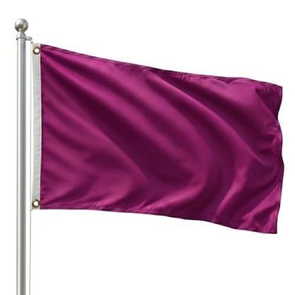 DMSE Solid Magenta Flag, 3x5 Flag, UV Resistant, Fade Resistant Material with Metal Grommets (3ft x 5ft), (Nylon), (Magenta) - color: Magenta, size: Nylon (3 x 5 ft)