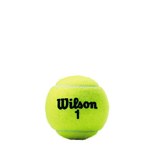 WILSON Championship Tennis Balls - size: 24 Can Case (72 Balls), style: Extra Duty