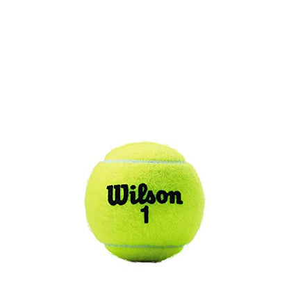 WILSON Championship Tennis Balls - size: Single Can (3 Balls), style: Regular Duty