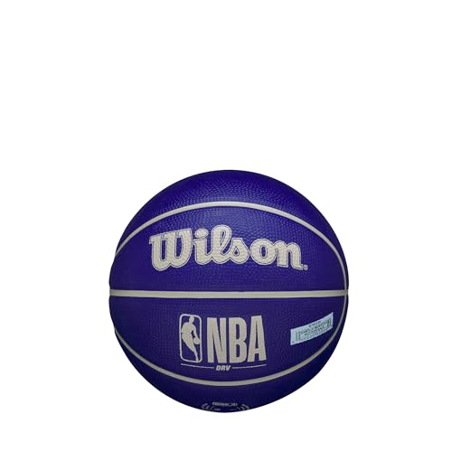 WILSON NBA DRV Outdoor Mini Basketball - Indigo/Beige, Size 3-22" - color: Indigo/Beige, size: Size 3 - 22", style: DRV