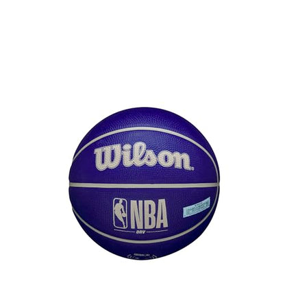 WILSON NBA DRV Outdoor Mini Basketball - Indigo/Beige, Size 3-22" - color: Indigo/Beige, size: Size 3 - 22", style: DRV