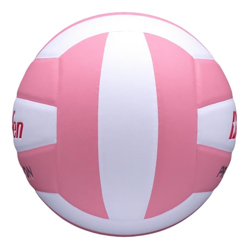 Baden | Precision | Official Size + Weight Entry Level Youth Indoor Volleyball | PU Composite, Extra Foam Backing, Reduce Sting - color: Pink