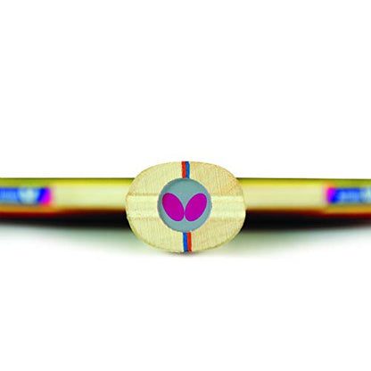 Butterfly RDJ Shakehand Table Tennis Racket Set - RDJ Series - Recommended For Beginning Level Ping Pong Players - International Table Tennis Federation Approved - color: RDJ 4 Player Set