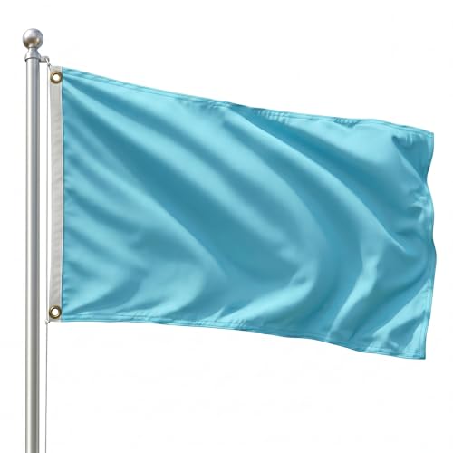 DMSE Solid Light Blue Flag, 2x3 Flag, UV Resistant, Fade Resistant Material with Metal Grommets (2ft x 3ft), (Polyester), (Light Blue) - color: Light Blue, size: Polyester (2 x 3 ft)